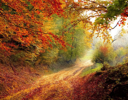 Öffnungszeiten während der Herbstferien