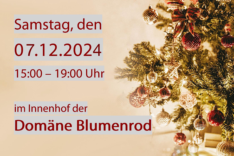 IMG_2024-11-28-120630 IMG_2024-11-28-120630