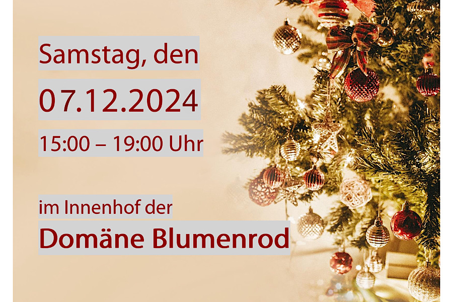 Weihnachtsmarkt am 7.12. in der Domäne Blumenrod – wir sind dabei!🎅🎄⭐️
